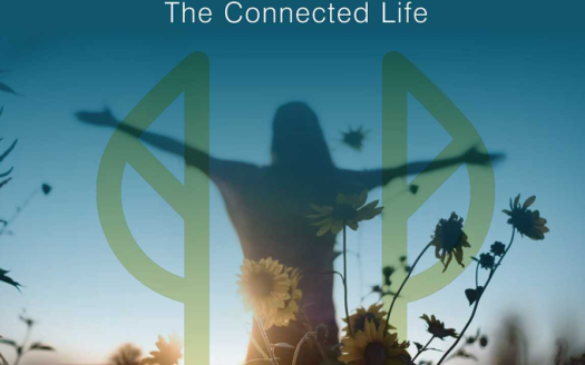 DSR Park Ridge – 2 and 3 BHK Apartments In Hyderabad