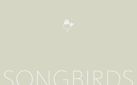 Enerrgia Skyi Songbirds Phase B – 2 and 3 BHK Apartments in Pune