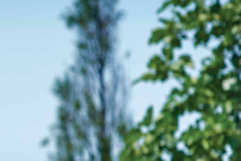 Shapoorji Pallonji Sensorium Phase III – 2 and 3 BHK Apartments in Pune