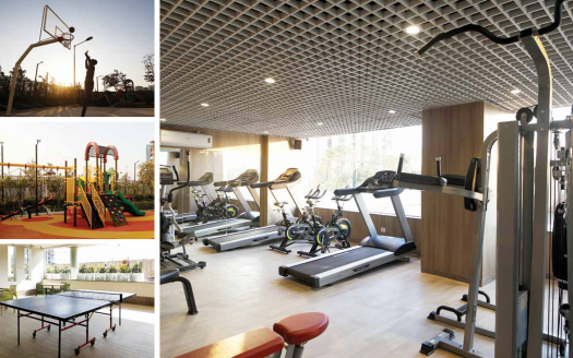 ASF Isle de Royale – 2, 2.5, 3 and 3.5 BHK Apartments in Gurgaon