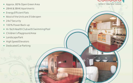 Today Callidora – 2 and 3 BHK Apartments in Gurgaon