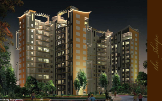 Tulip Ace – 3, 4, 5 and 6 BHK Apartments in Gurgaon