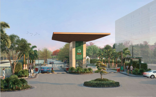 M2K Olive Greens – Residential Plots in Gurgaon