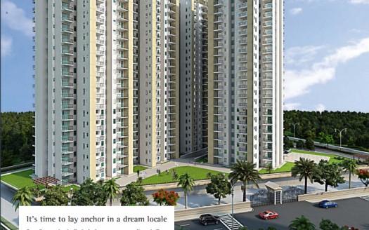 Zara Rossa – 2 and 3 BHK Apartments In Gurgaon