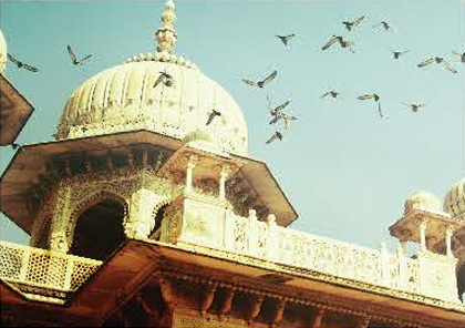 Suncity Jewel of India 1 – 4, 5 and 6 BHK Apartments in Jaipur