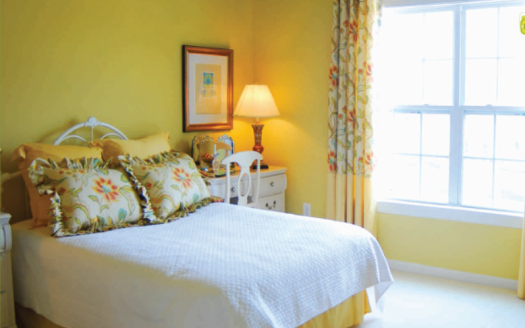 Dolphin Anand Sheetal – 2 and 3 BHK Apartments in Kanpur