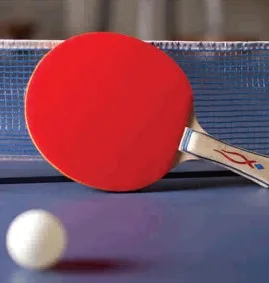 Martin Royal Villa – 2 and 3 BHK Apartments in Kolkata