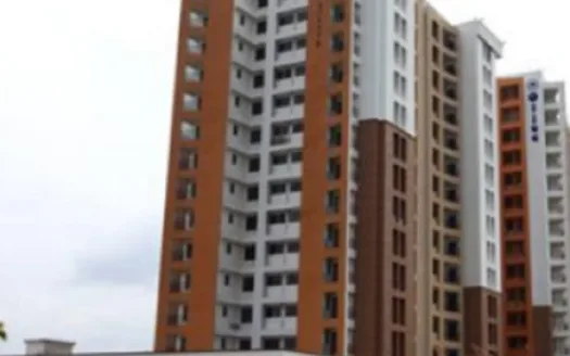 Olive Builders Wood Stock – 2 and 3 BHK Apartments in Kochi