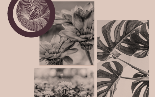 T And T Eutopia Phase 1 – 3 and 4 BHK Apartments in Ghaziabad