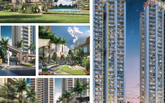Irish Platinum – 3 and 4 BHK Apartments in Noida
