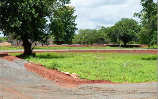 DN New Town – Residential Plots in Bhubaneswar