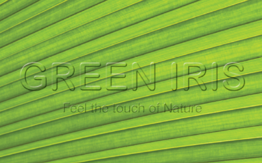 Rashmi Green Iris – 2 and 3 BHK Apartments in Ahmedabad