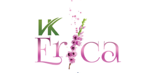 V K Erica – 3 BHK Apartment in Visakhapatnam