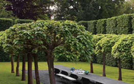 Aratt Cityscapes – 4 BHK Independent House and Villa in Bangalore