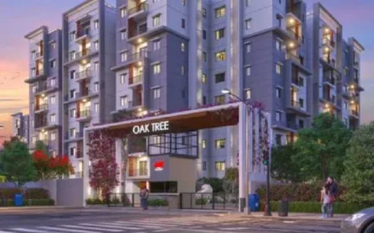Ark Oak Tree – 2 and 3 BHK Apartment in Bangalore