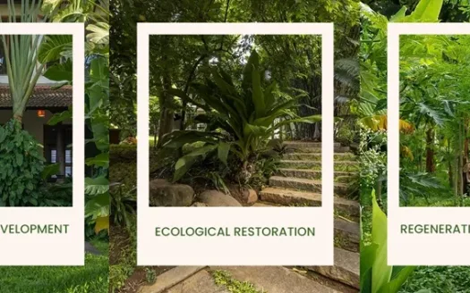 Good Earth Octave – 3 BHK Independent House and Villa in Bangalore