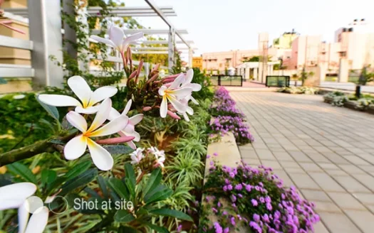 HM Tropical Tree – 3 and 4 BHK Apartment in Bangalore