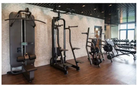 Maphar Decent Tower – 3 BHK Apartment in Hyderabad