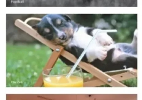 Provident Park Square – 2 and 3 BHK Apartments in Bengaluru