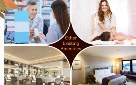 Venice City – 3 BHK Independent House and Villa in Hyderabad