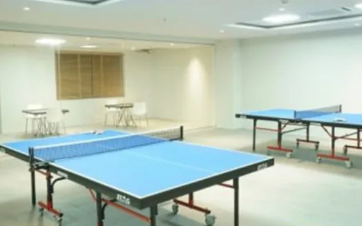 Vertex Panache – 2 and 3 BHK Apartment in Hyderabad