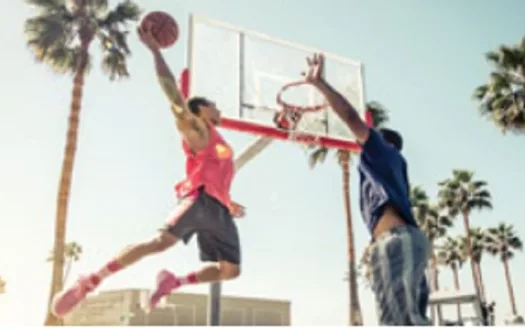 DD Sports City Pavilion – 2 and 3 BHK Apartment in Kochi