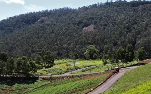 ABI Lushbergs Villas – 2 and 3 BHK Independent House and Villa in Coibatore