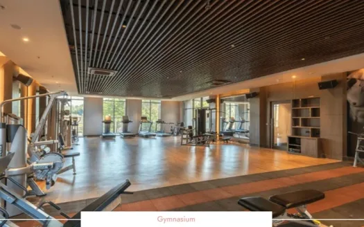 Castel Royale T9 – 4 and 5 BHK Apartment in Pune