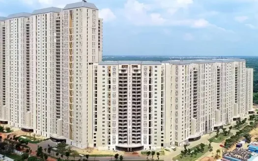 DLF Camellias – 4, 5 and 6 BHK Apartments in Gurgaon
