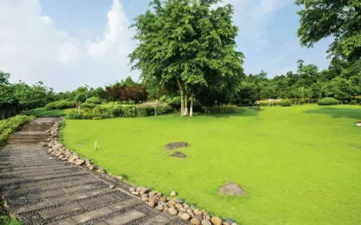 Haware Meadows Phase 1 – 1 and 2 BHK Apartment in Thane