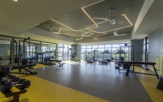 Naiknavare Avon Vista – 2 and 3 BHK Apartment in Pune