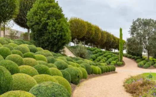 Paradigm Alaya – 1 and 2 BHK Apartment in Mumbai